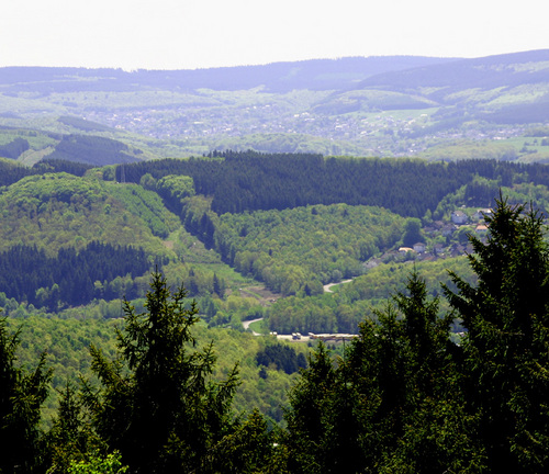 freiergrund's profile picture. 