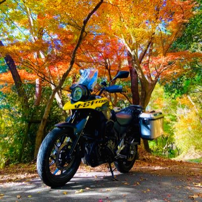 Vストローム250で絶景を求め走り回っています。普段は近畿辺り走っています。バイクはss、ネイキッド、オフ、アドベンチャーなどなどなんでも好きです！たまにレンタルで色んなバイク乗ります！ ほとんどバイクや旅行に関してのツイートなので投稿頻度は少なめです！無言フォロー失礼致します。