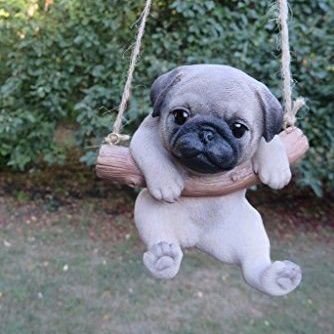 teja_daga's profile picture. 