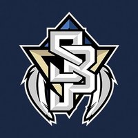 Bosco Esports (@boscoesports) 's Twitter Profile