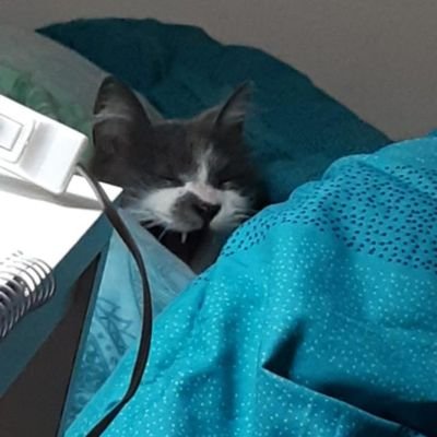 Franquinio02's profile picture. 