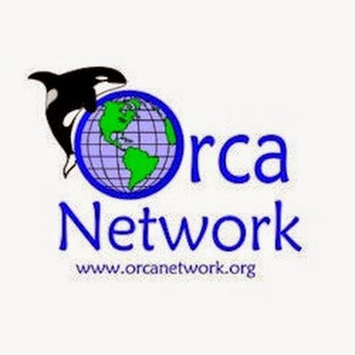 Orca Network