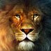 Ru Ben (Le Lion de Judah) (@RuBen55463073) Twitter profile photo