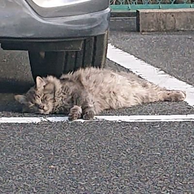 たくやさんのプロフィール画像