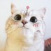 (^=˃ᆺ˂) ลิล • เหมียวเหมียว ᗦ↞◃ (@anny_annabeth) Twitter profile photo (^=˃ᆺ˂) ลิล • เหมียวเหมียว ᗦ↞◃ (@anny_annabeth) Twitter profile photo
