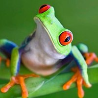 Xande (@m16club) 's Twitter Profile