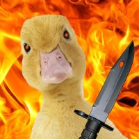 Duckens Knifenson(@DuckensKnife) 's Twitter Profile Photo