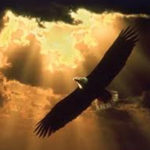 _annielee_'s profile picture. I am child of The Lord Most High