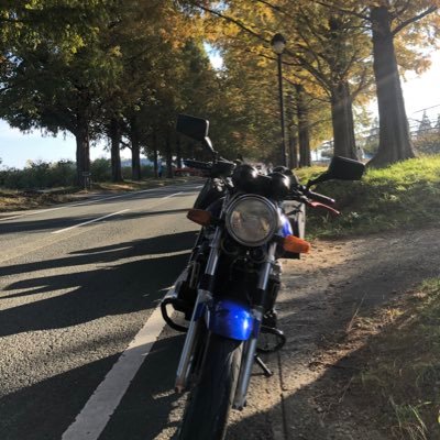 555mst's profile picture. ゲームとアニメとバイク好き