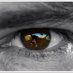 Bruno Debuysscher (@brunsonline) Twitter profile photo Bruno Debuysscher (@brunsonline) Twitter profile photo