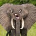DancingElephant (@dancinge_vf) Twitter profile photo DancingElephant (@dancinge_vf) Twitter profile photo