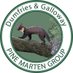 D&G Pine Marten Group (@dgpinemarten) Twitter profile photo D&G Pine Marten Group (@dgpinemarten) Twitter profile photo