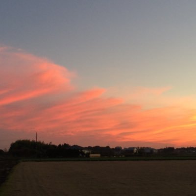 yr8FsRpvaBGVXSe's profile picture. 