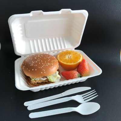 The company produces and sells biodegradable disposable tableware. There are more than one (phone:+8618959263991
phone:+0049015218933649,email:Lee_VVgo@163.com)