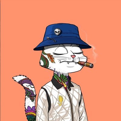 Dav0lee's profile picture. A lover of good music. A fan of Good life. cruise and business #vibes-alone #NFT investors #crypto 4 ever