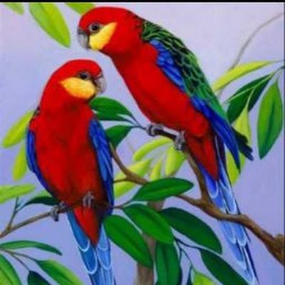 Dinesh6383's profile picture. 