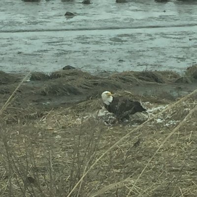 henri1746's profile picture. Do Not Comply. Never forget.
"Once in awhile it really hits people they don't have to experience the world they have been told to"