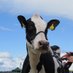 Hillhead Of Covington (@cowsofcovington) Twitter profile photo Hillhead Of Covington (@cowsofcovington) Twitter profile photo