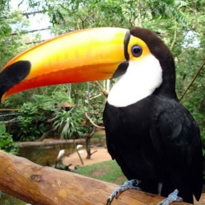 Jeferso84284121's profile picture. 