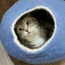 Ida Wang - @idawang69 - Twitter