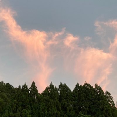 enさんのプロフィール画像