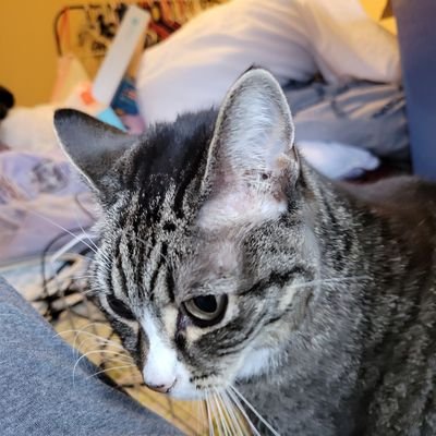 LiliaOmega's profile picture. 
