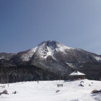 ゆう (@mwdpez5ebhpw9ms) 's Twitter Profile