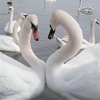 Kha86107146's profile picture. 