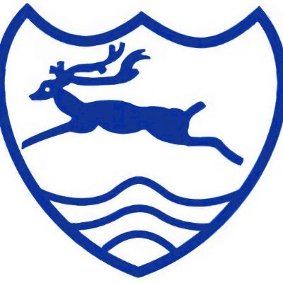 chacewatersch Profile Picture