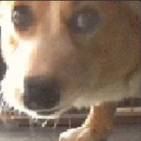 Dayo (@dayomaan) 's Twitter Profile