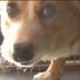 Dayo (@dayomaan) Twitter profile photo Dayo (@dayomaan) Twitter profile photo