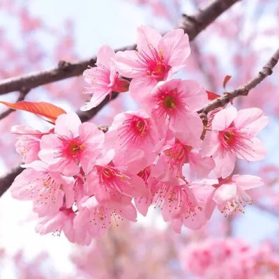 yqcg2020's profile picture. 