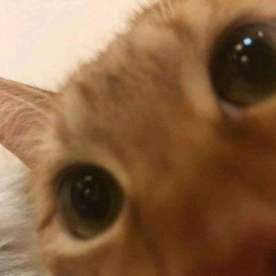 ween_the_ghost's profile picture. 19 лет