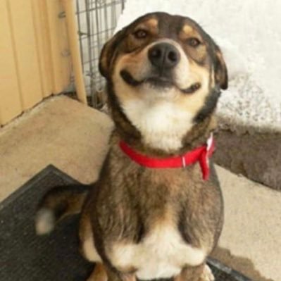 Crypto_Thurston's profile picture. May all your coins boom and get rich together!!