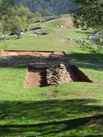 Madinat Ilbira (Medina Elvira) es un yacimiento arqueológico tardorromano y altomedieval situado en la Vega de Granada (España).