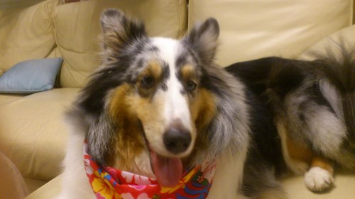 teratera333's profile picture. 寺本です。