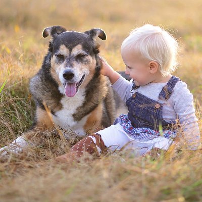 IdaLenaxx's profile picture. Humanitarian. Help us save the world. animal right activist.