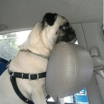 AngelaN55774730's profile picture. 