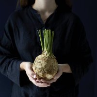 Wild Radish (@wildradishhq) 's Twitter Profile