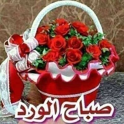 Muhamma84684057's profile picture. All friend