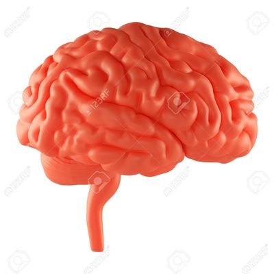 Nader_forouhar's profile picture. برای آزادی