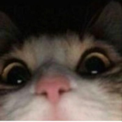 Strykuh_'s profile picture. 