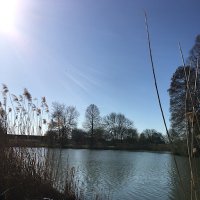 On the lake(@OnthelakeYT) 's Twitter Profile Photo