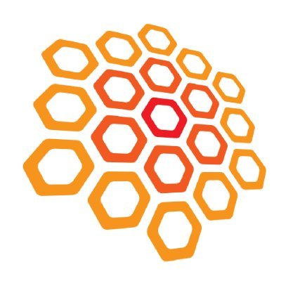 La ruchée est un projet porté par la FCCF, dont l’objectif est de trouver des solutions concrètes à la pénurie d’enseignant·e·s en arts en français au Canada.