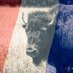 Buffalo_Chip💎🇺🇸🦬 (@kc_deplorable) Twitter profile photo Buffalo_Chip💎🇺🇸🦬 (@kc_deplorable) Twitter profile photo
