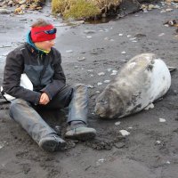 Julie Mestre (@juliemestre2) 's Twitter Profile Photo