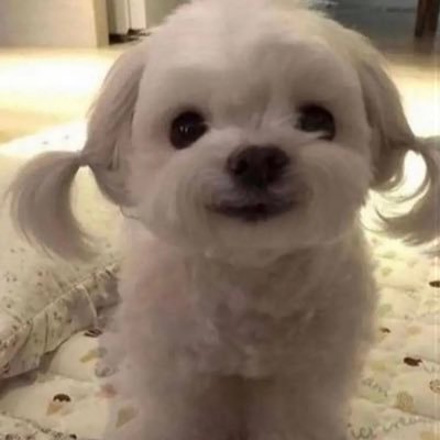 realXen_'s profile picture. worst r6 player alive - member of Sparky Aim - Kovaaks Connoisseur