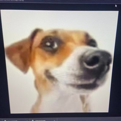 GraceFace67さんのプロフィール画像