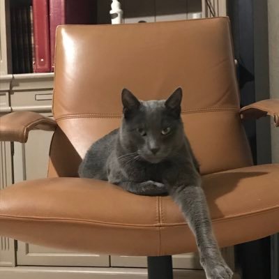 dssspi's profile picture. c est pas ma voiture c celle du  cornard qui m est  rentrée dedans!je n ais rien 💁🏻‍♀️