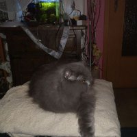 nattel11@hotmail.de (@nattel11) Twitter profile photo